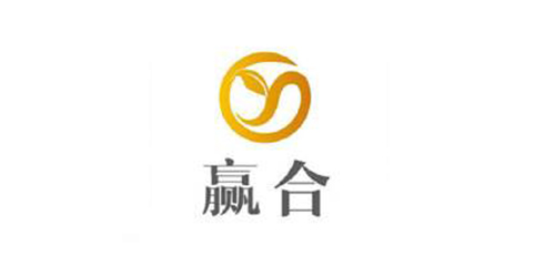 上银微型91香蕉视频在线看应用客户-赢合